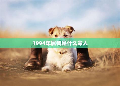 1994狗|1994年属狗是什么命五行 1994年属狗是什么命五行缺什么